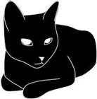 cat-167x170-137h